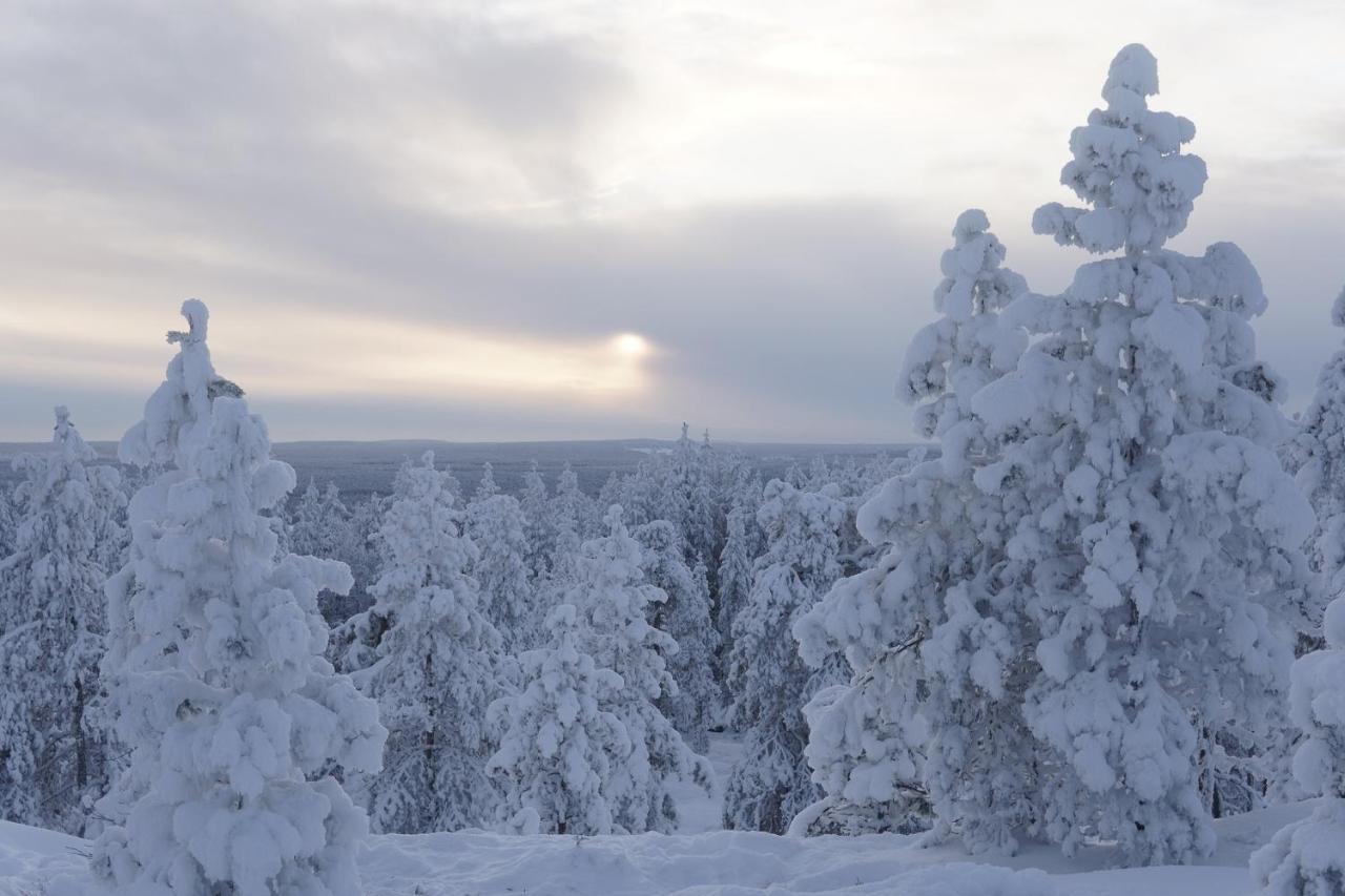 Arctic City Nest Rovaniemi Esterno foto