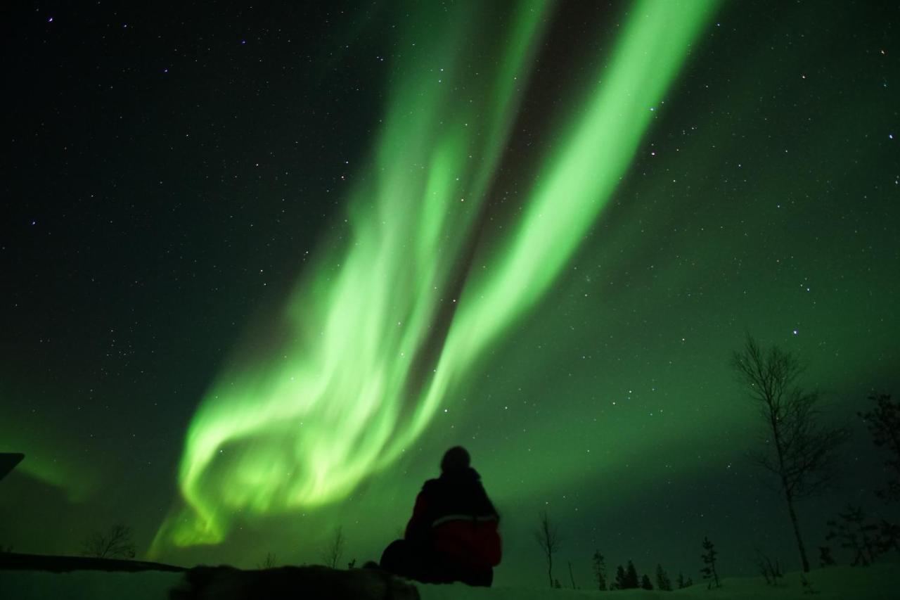 Arctic City Nest Rovaniemi Esterno foto